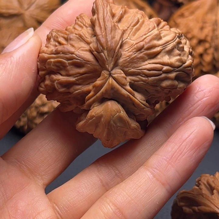 王*恩白狮子牛核桃哈哈哈哈哈哈哈哈