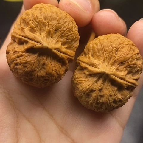 文玩核桃把件38尺玄武元宝