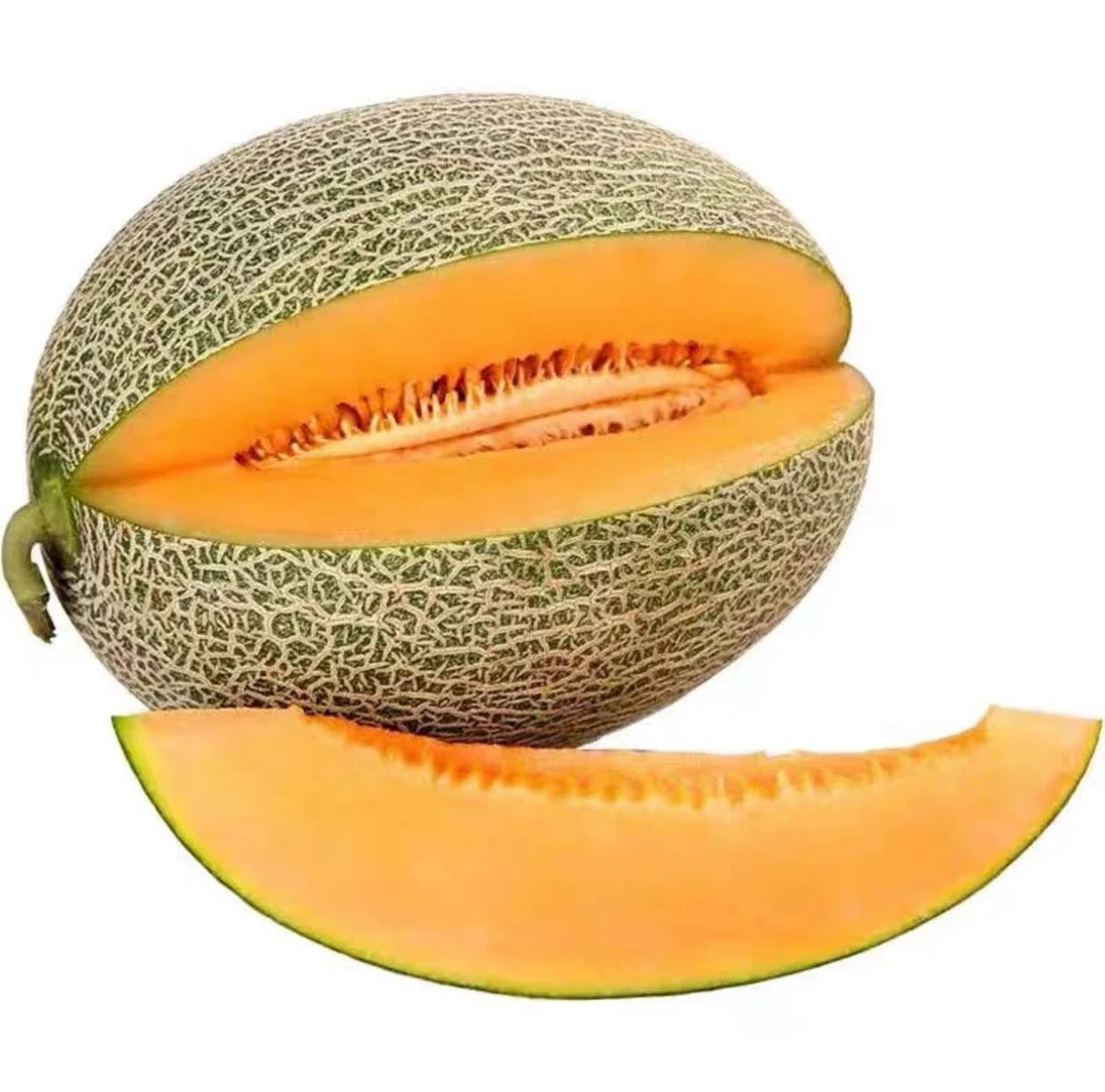 X【一级瓜】【新疆直发】吐鲁番火焰山哈密瓜沙漠西州蜜正宗产地直发