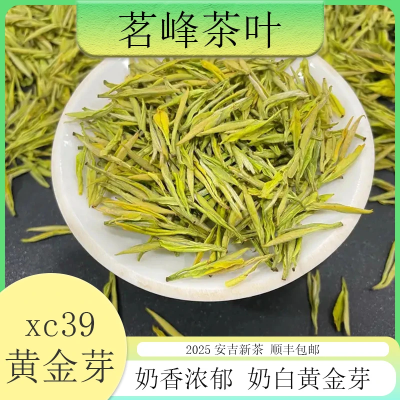 【2025安吉新茶】茗峰茶叶 奶香味浓郁高端送礼白茶 黄金芽xc39