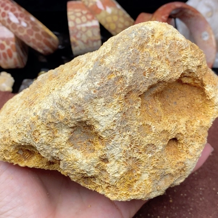 硅化玉未镶嵌手镯（圆镯）