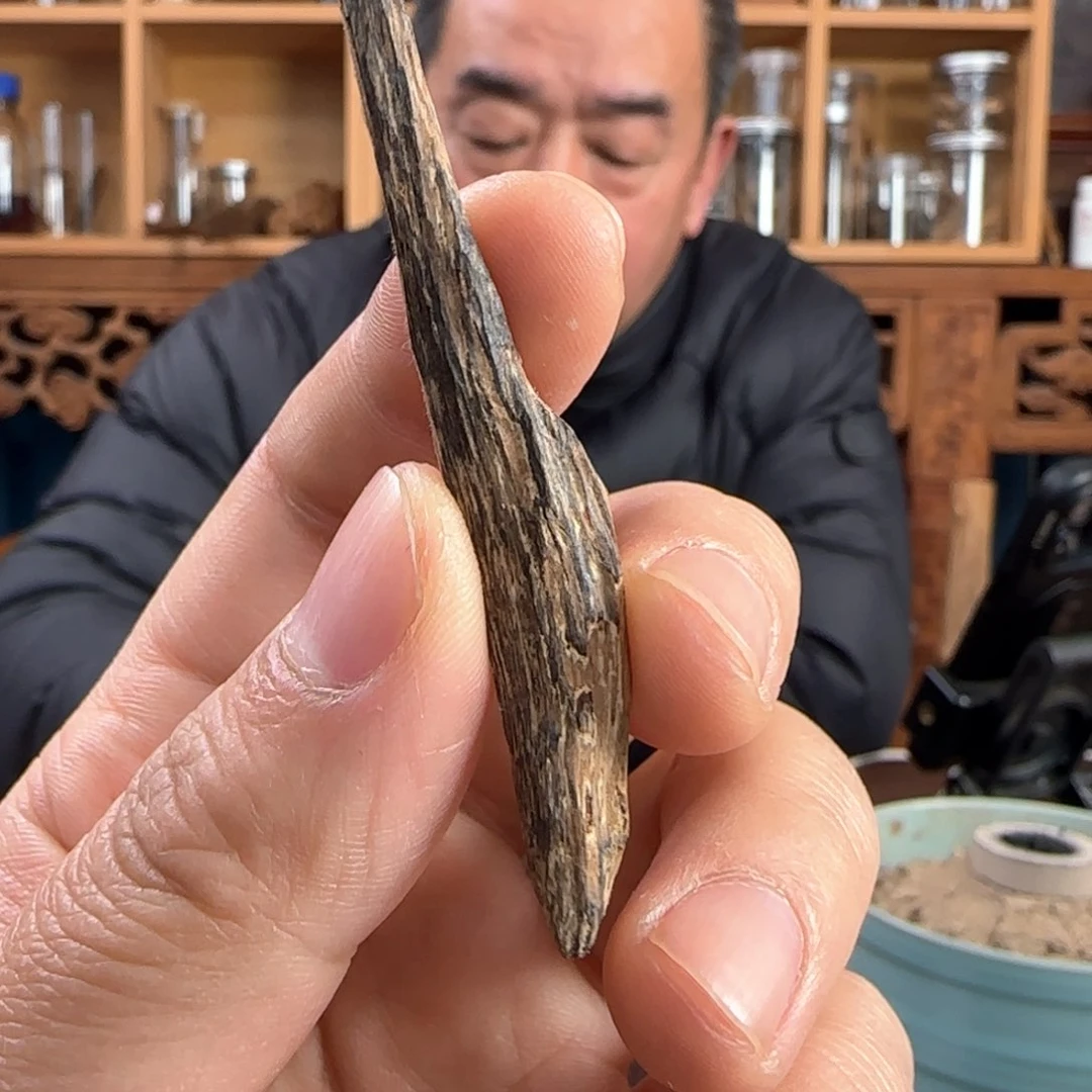 沉香摆件半*香港料沉香树根树心油料0.7克