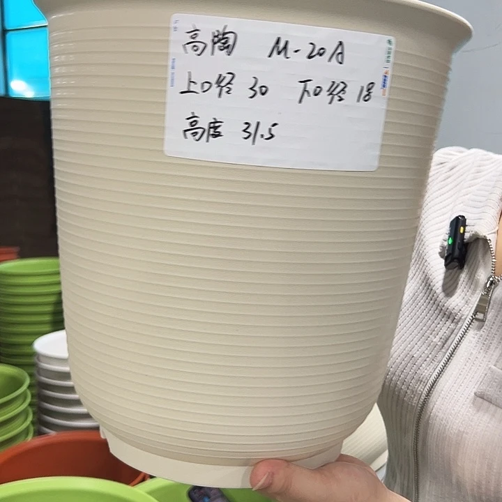 正品高陶口30高31米色3只无托