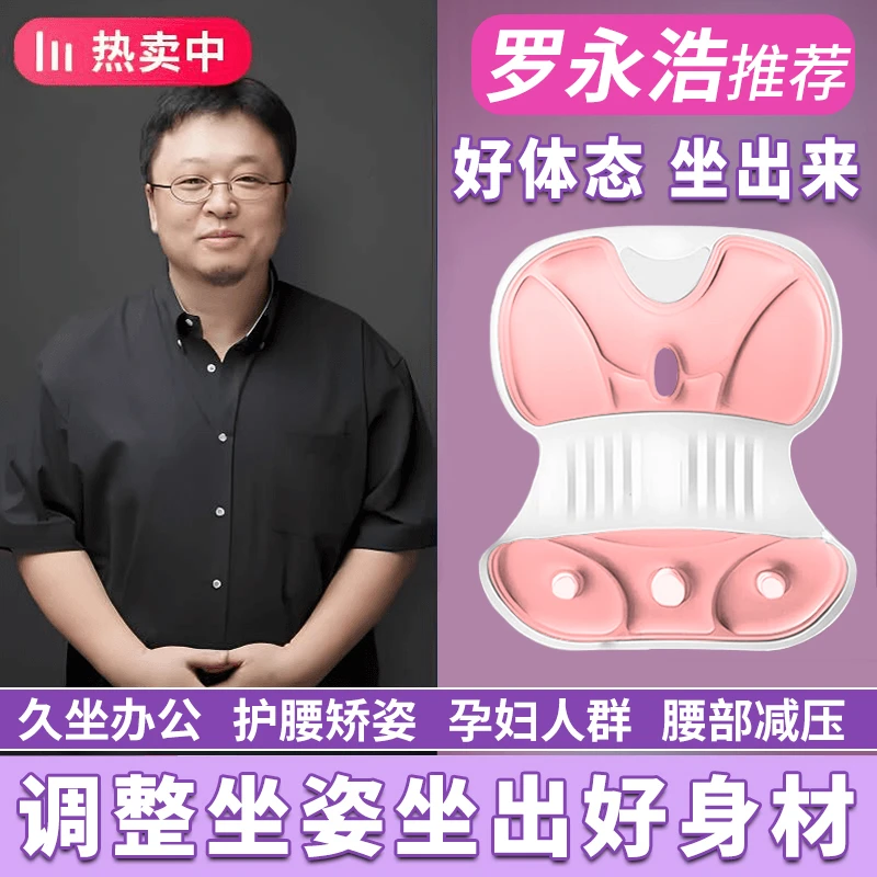 【罗永浩推荐】BK人体工学护腰坐姿椅支持腰部靠背垫久坐不累神器T