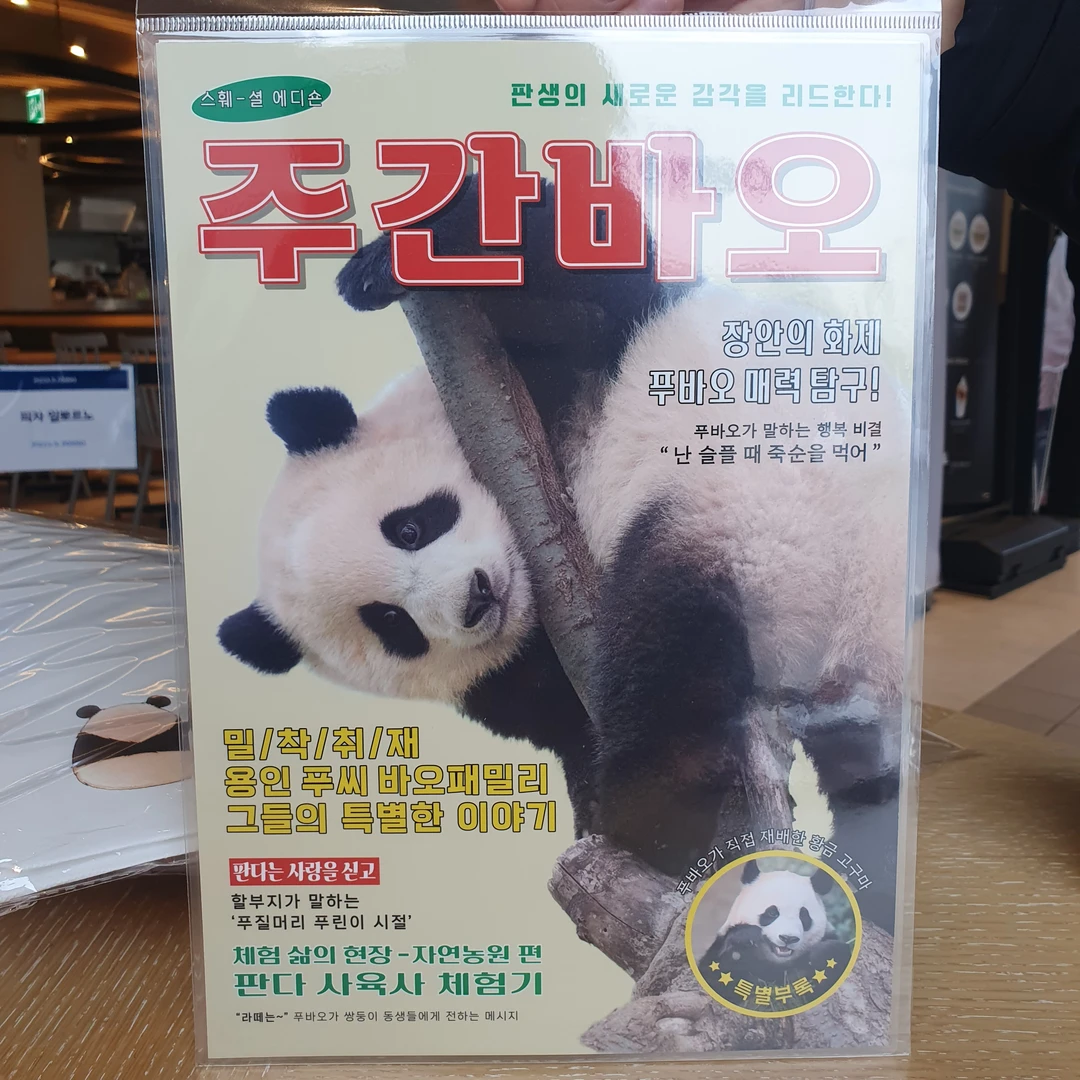 爱宝乐园福宝周边福宝垫板