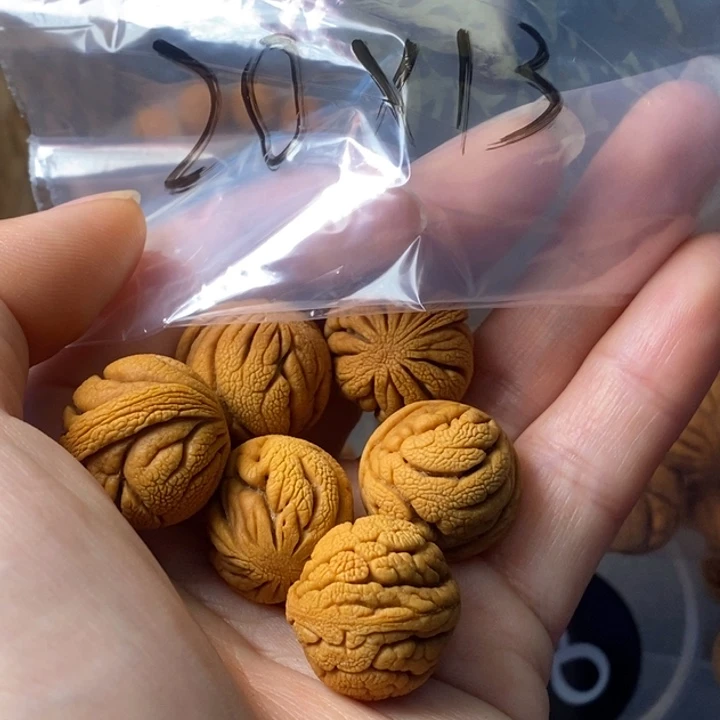 文玩核桃手串秦岭野生龙纹桃核20