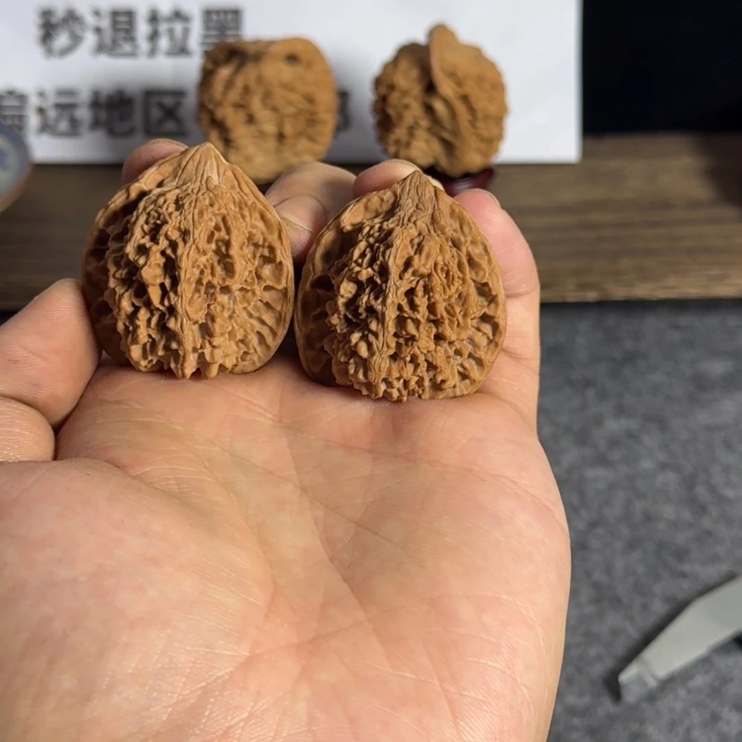 40尺全品红皮满天星福利价不退换