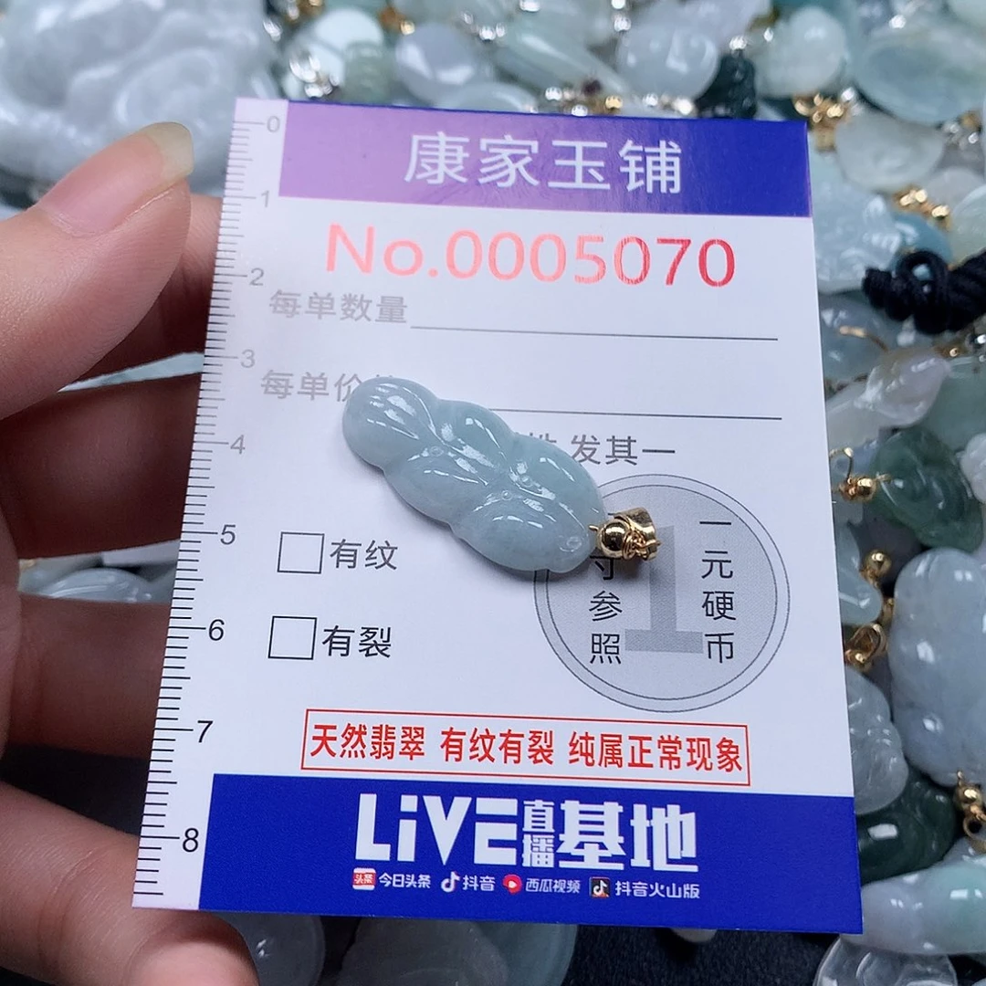 颈饰未镶嵌翡翠w