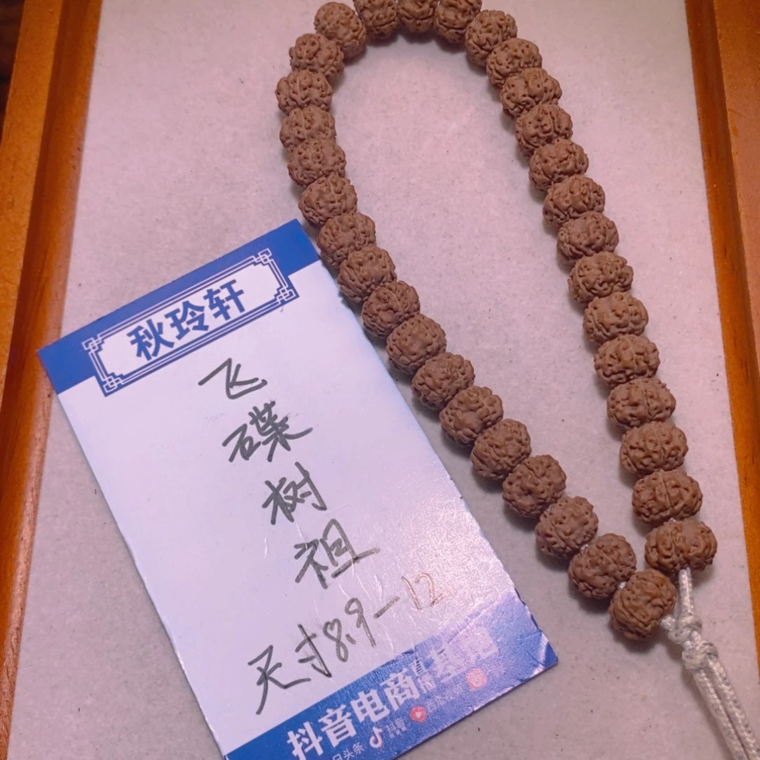 手串金刚菩提树祖10