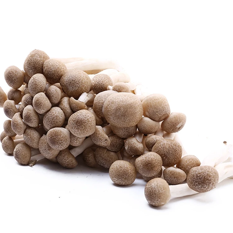 蟹味菇 120g-130g/份