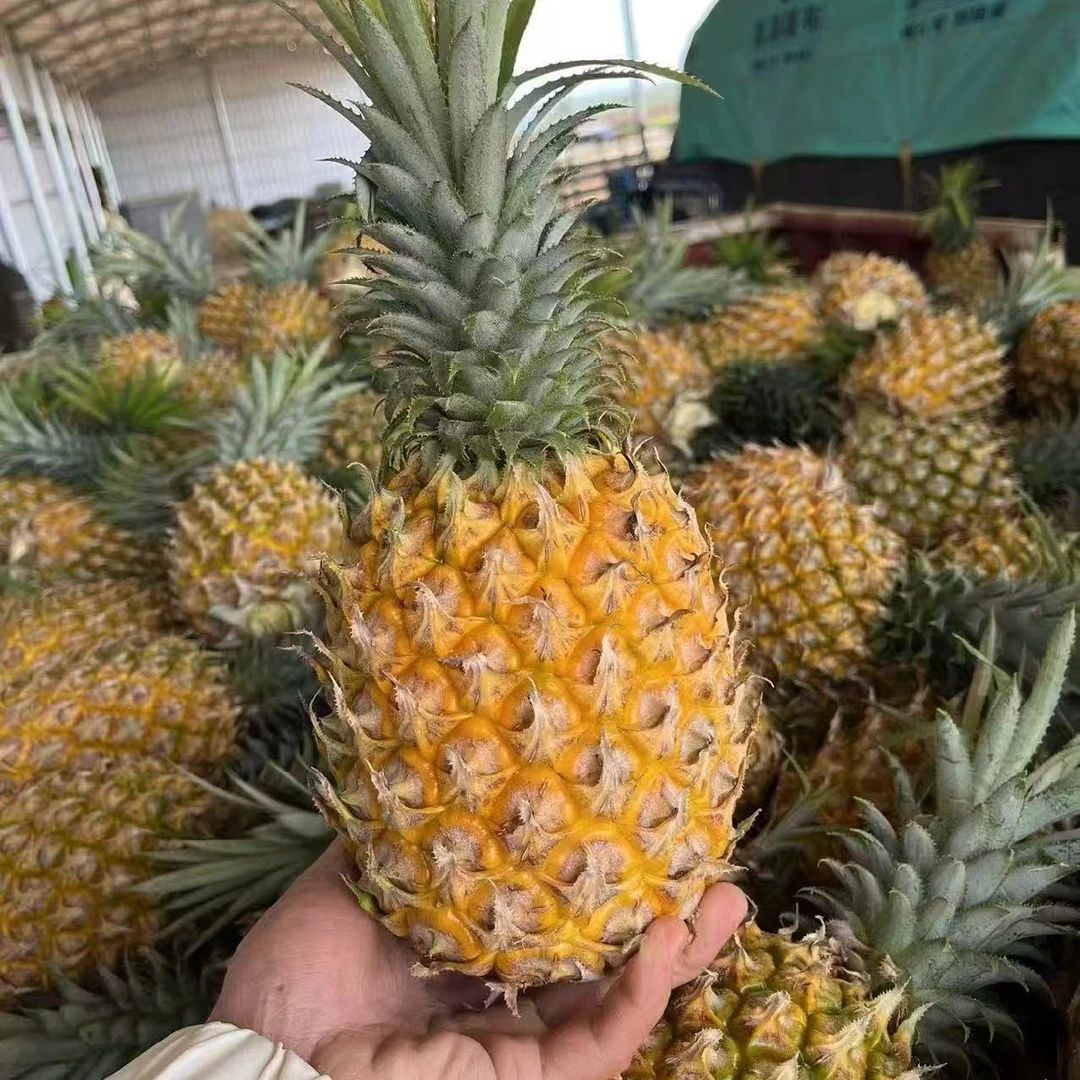 【种果果】粉丝福利 西瓜蜜瓜香梨油桃火龙果随机套餐