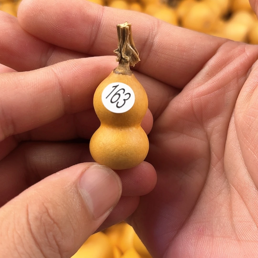 二葫芦葫芦葫芦葫芦163