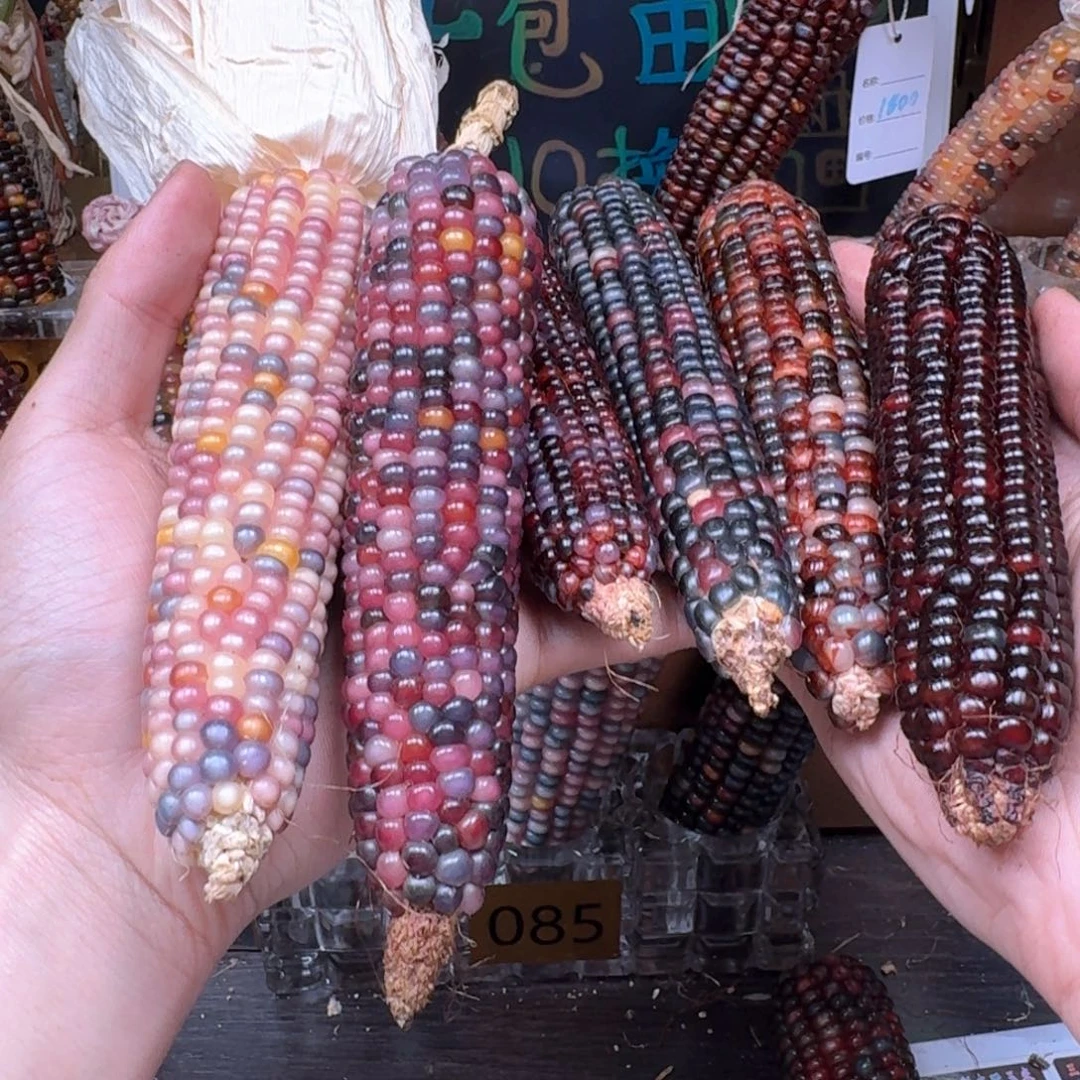 柏香籽/百香籽吊坠1**8