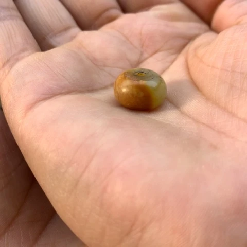 【闪购商品】未镶嵌岫岩河磨玉（透闪石质玉）挂件✨*哥