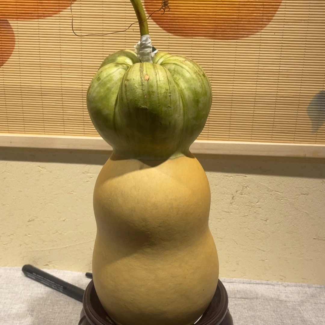 国***8仿木不包邮不保龙头