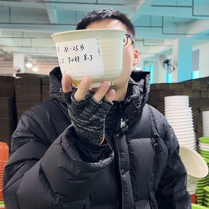 正品矮陶口15高11米色无托10只