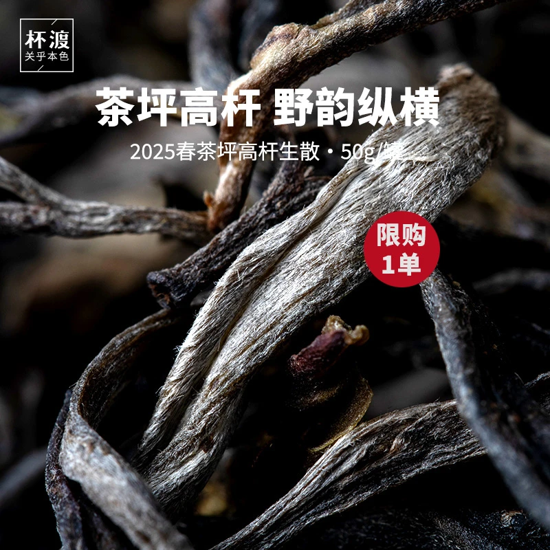 杯渡古茶【限购1单！】2025春易武刮风寨茶坪高杆古树纯料普洱茶50g