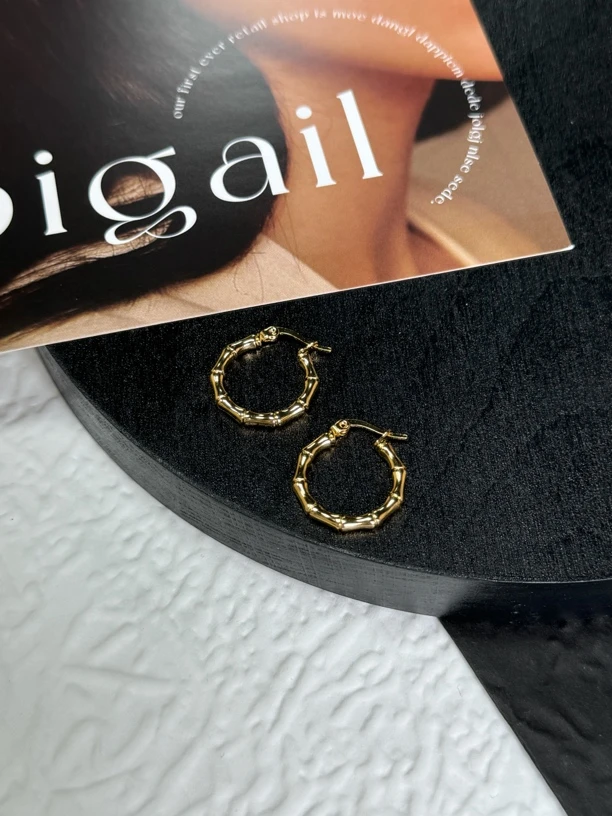 钛钢耳饰 LARVINA 金色圈圈耳环