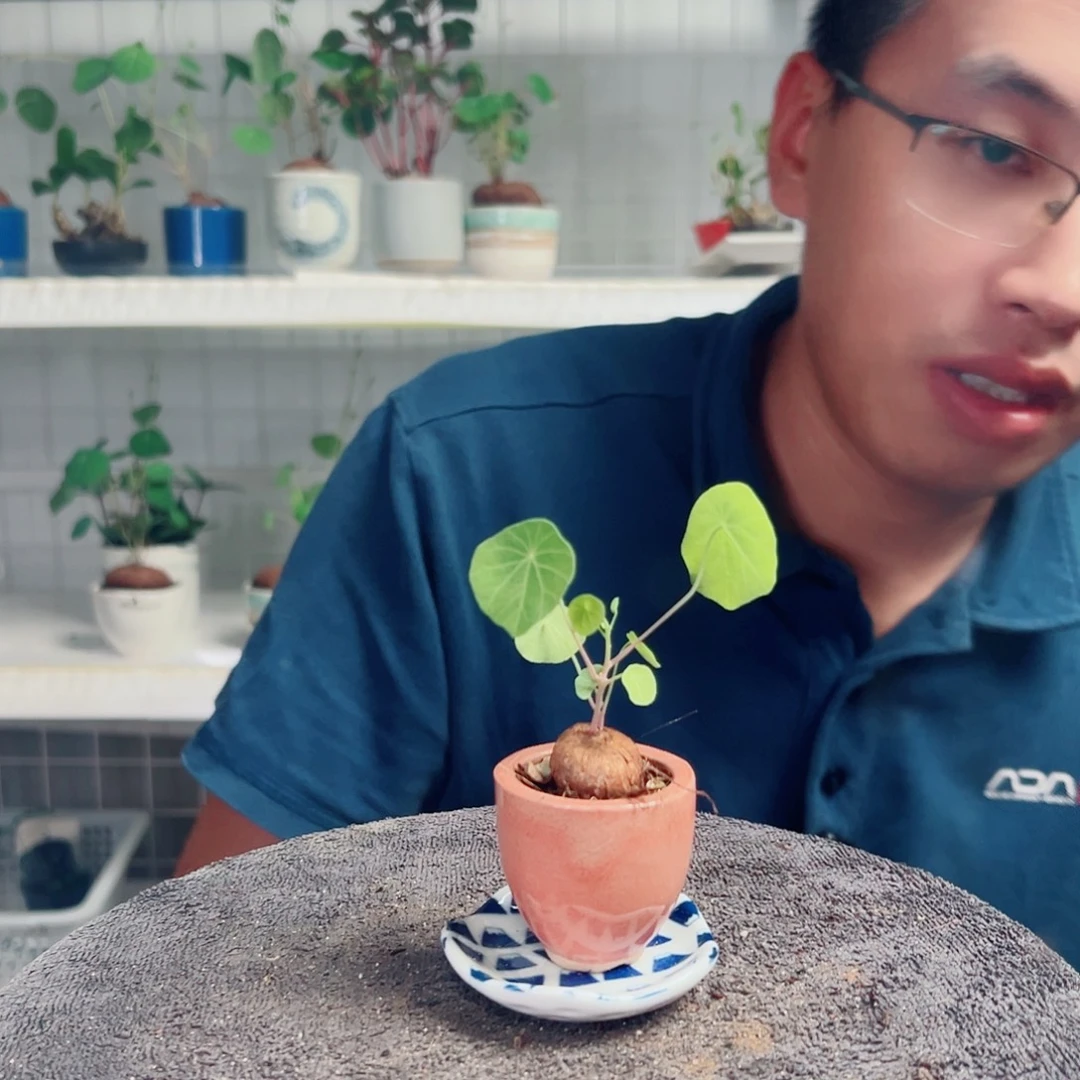 魈***咪无花朵23