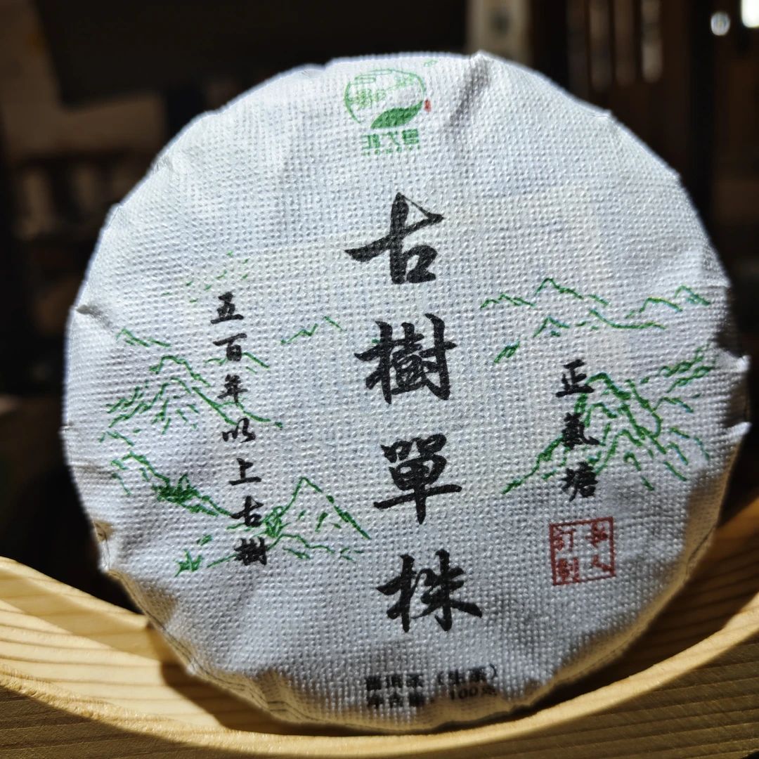 2023年正气塘头春古树单株100克饼