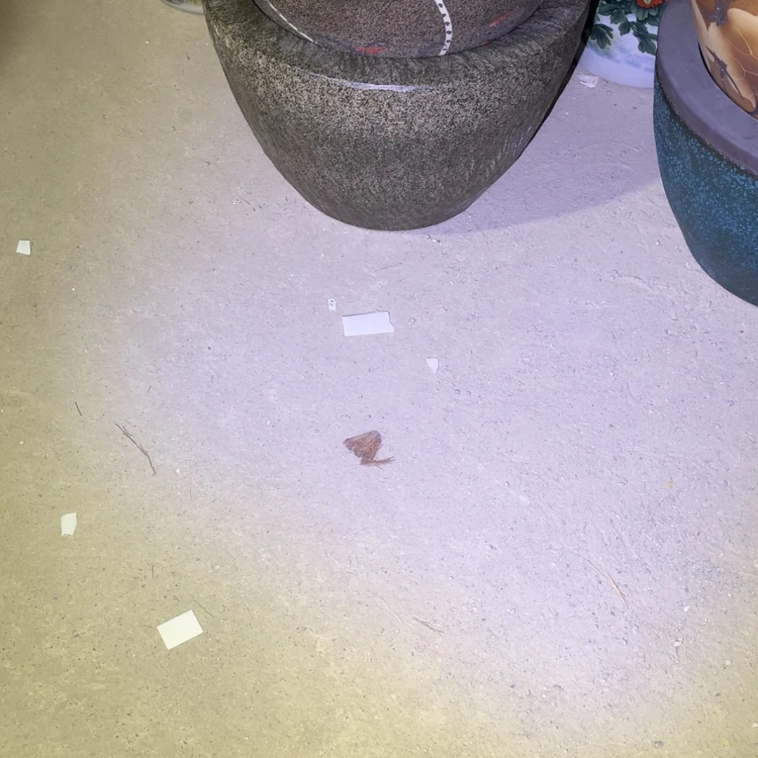 瓷片50仿石8888888888888