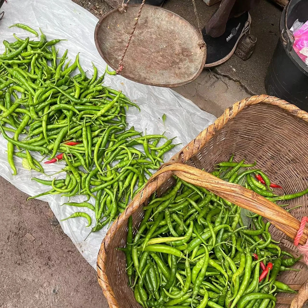湖南衡阳耒阳本地农家新鲜辣椒