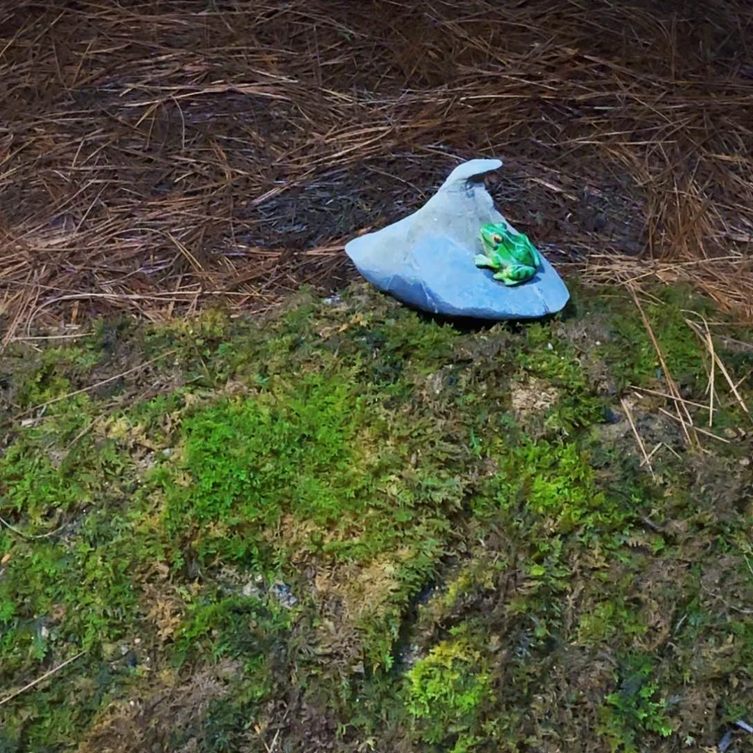 比****完全开放123456七彩