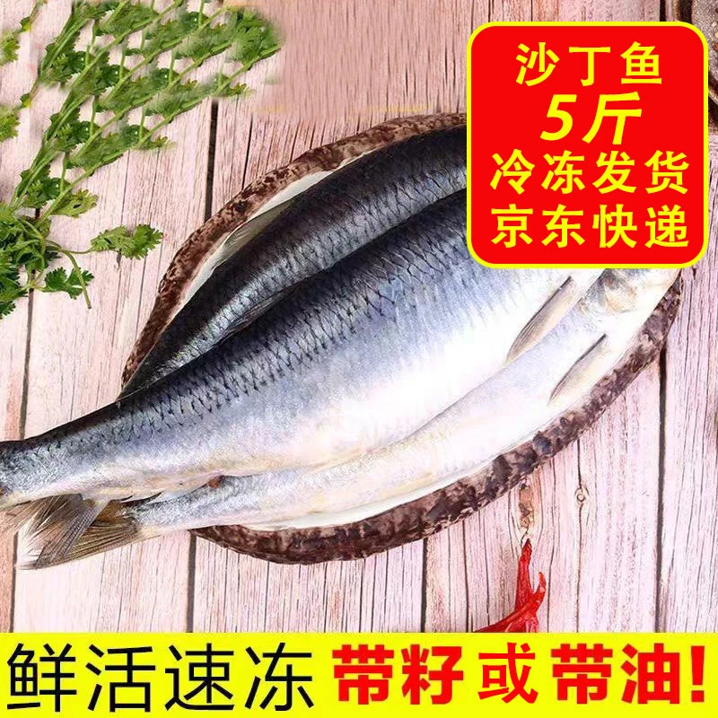 5斤野生沙丁鱼新鲜捕捞急冻无冰带籽或带油4-6两一条5斤8-10条公母随机发货介意勿拍