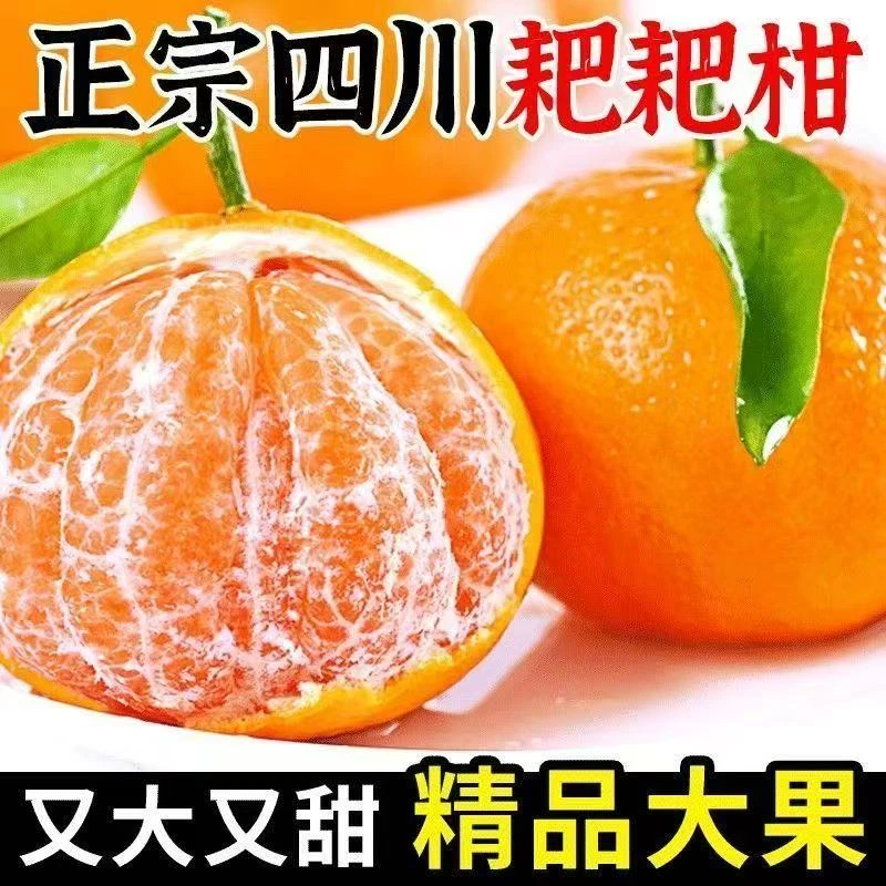 四川眉山封神春见耙耙柑纯甜爆汁无籽无核顺丰京东次日达四川省