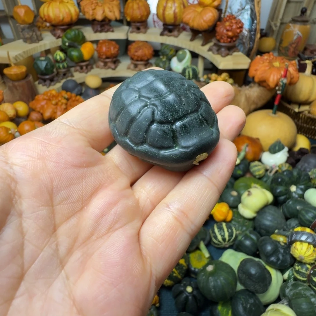 ?***a青皮葫芦不退不换