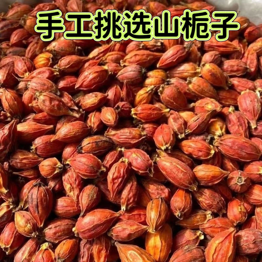 桅子食用上色商用批发红栀子花茶黄栀子黄泡茶新货栀子卤肉