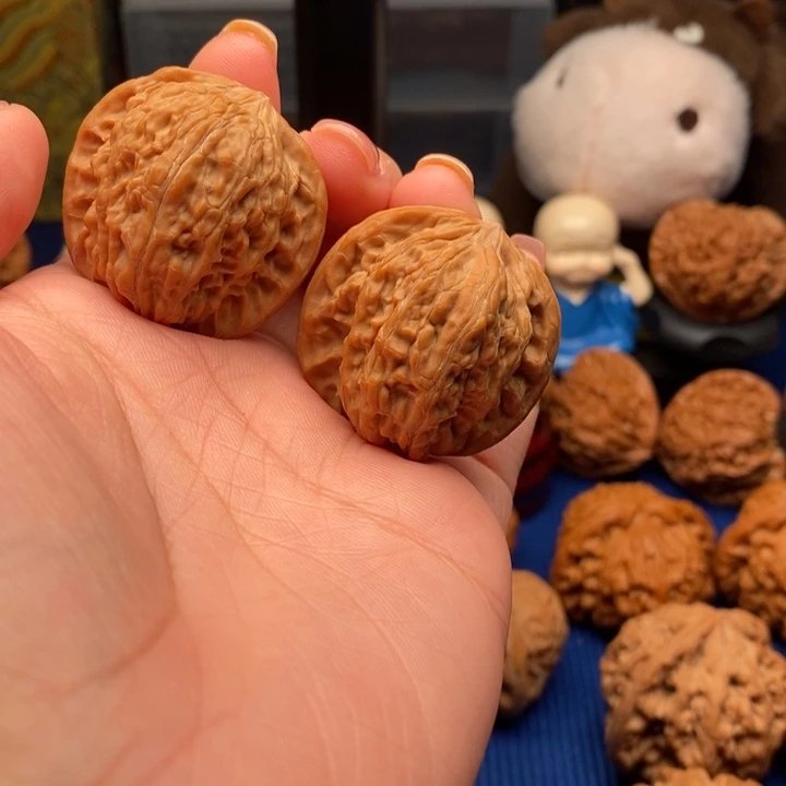 核桃35尺全品山地磨