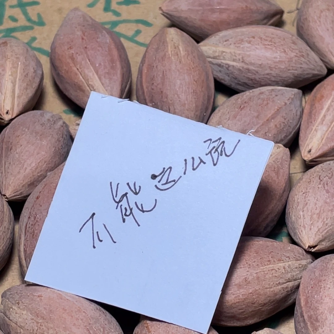 不***玩不退不换aasasdf