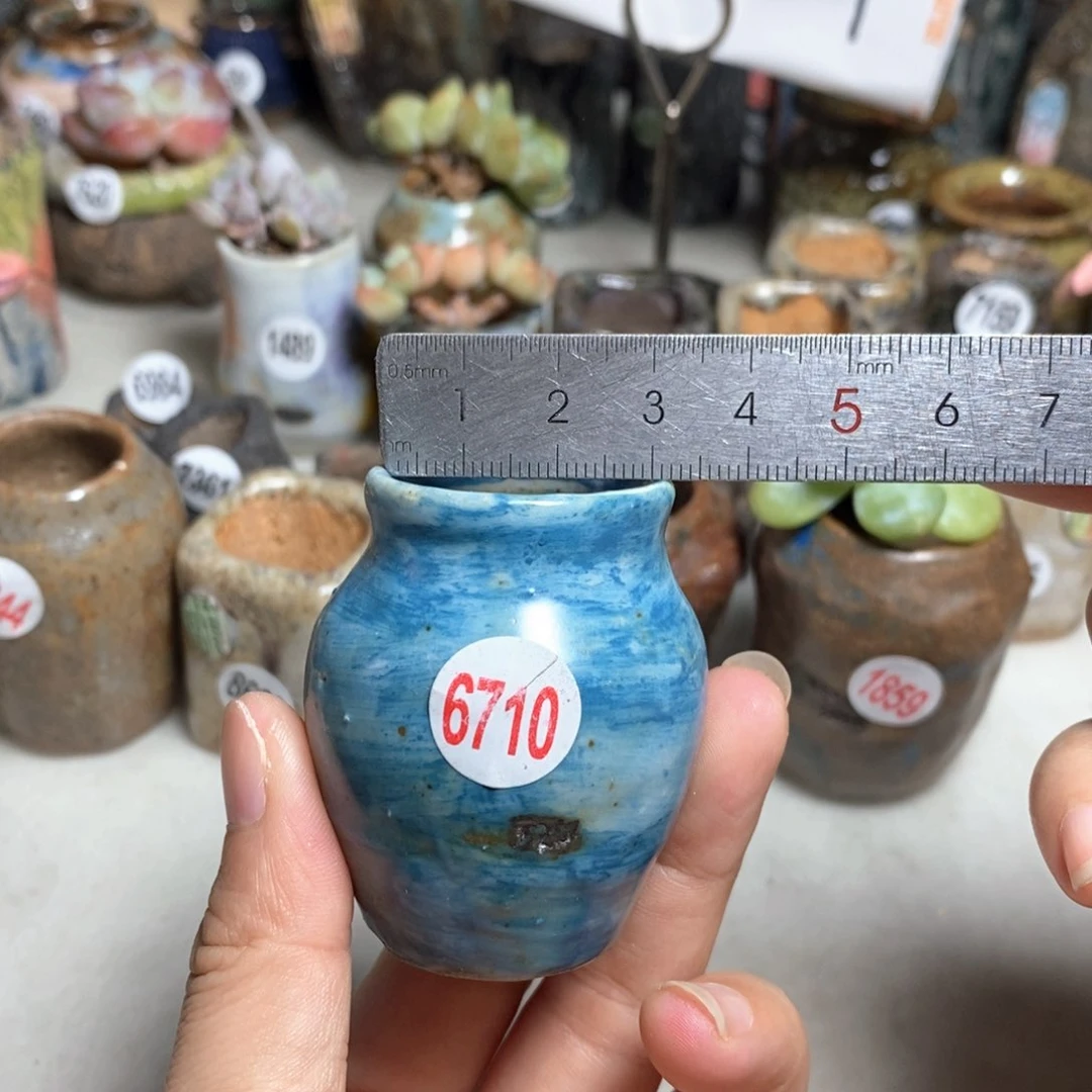 拍5送一个小礼物