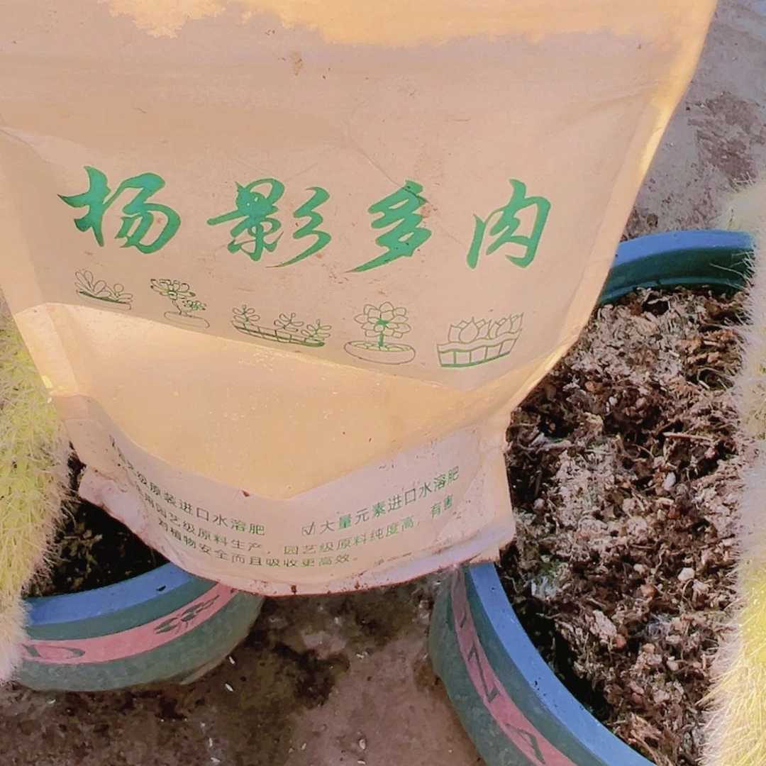 【闪购商品】营养水溶分1包