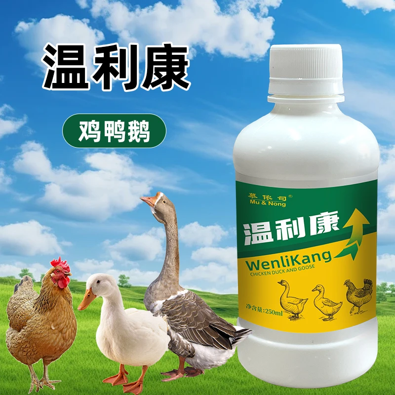 温立康鸡药正品鸡鸭鹅鹌鹑家禽养殖添加剂独立包装耐存工厂直发