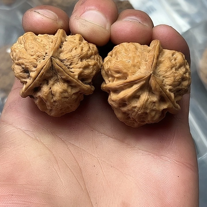 把件文玩核桃49号鬼牙38尺