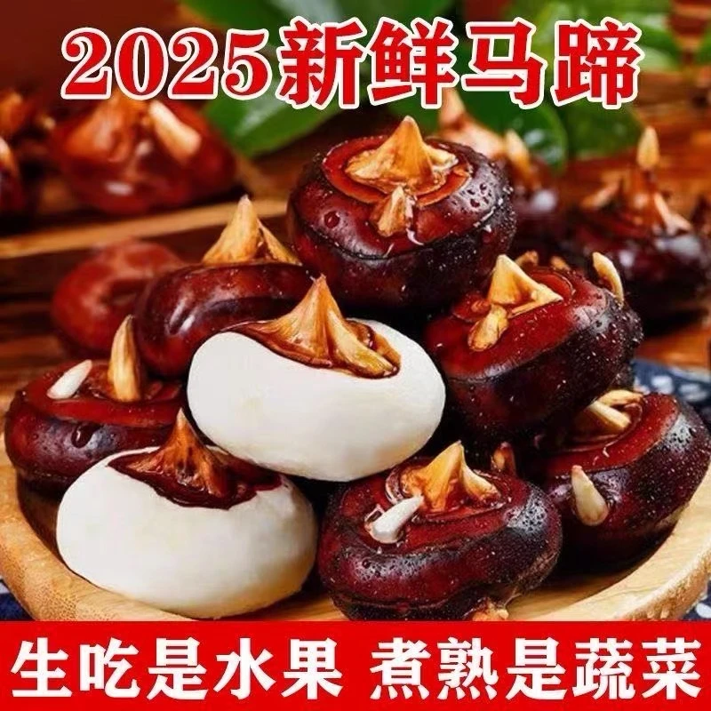 2025广西荔浦马蹄（荸荠）新鲜现挖广西马蹄地梨即食当季蔬菜水果