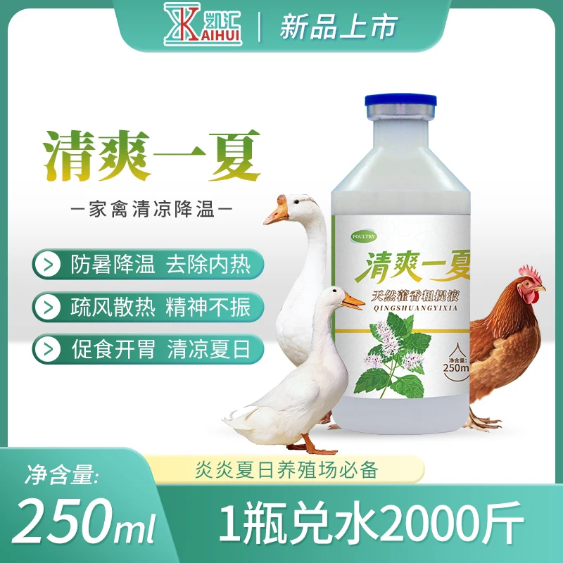 【清爽一夏】夏季养殖必备，去内热，避免热应激，降温解暑