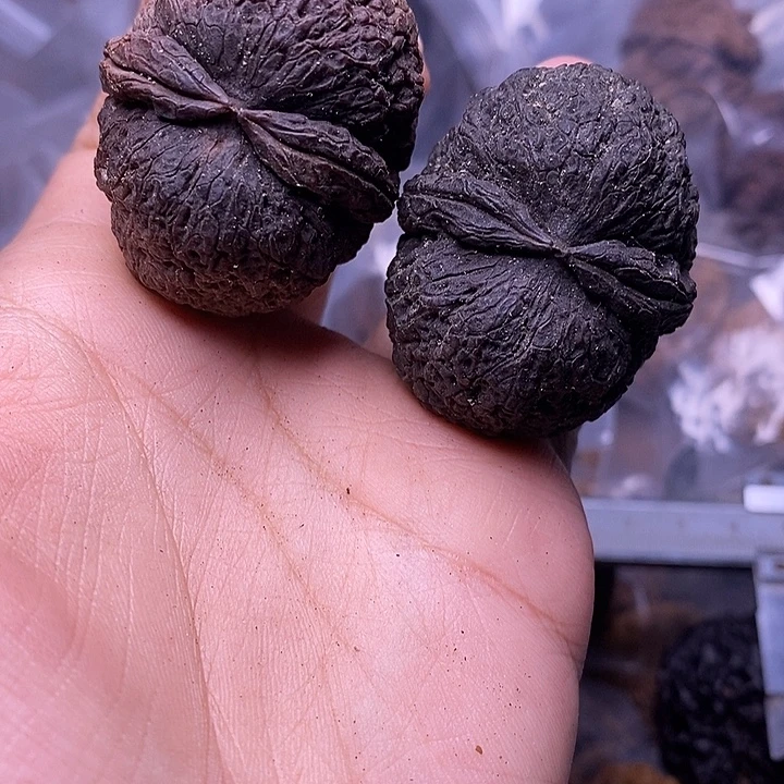 把件文玩核桃   199