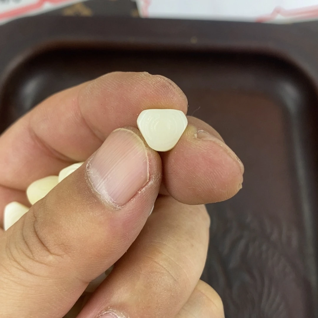 手串/手链驼骨配饰34