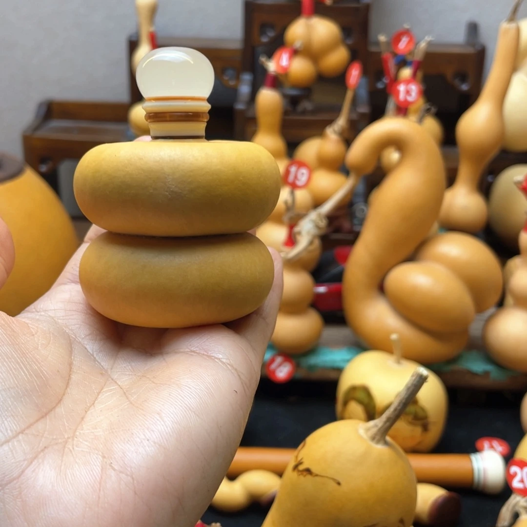 L*X大自然的秘密第十一节我是