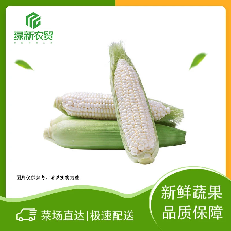 白玉米  约150g/穗