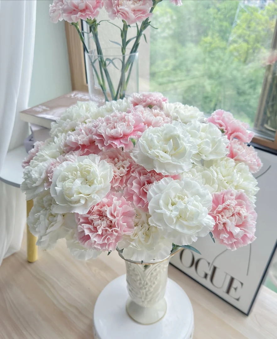 凑单福利，康乃馨多色自选植物云南鲜花昆明直发礼物花束新鲜多头