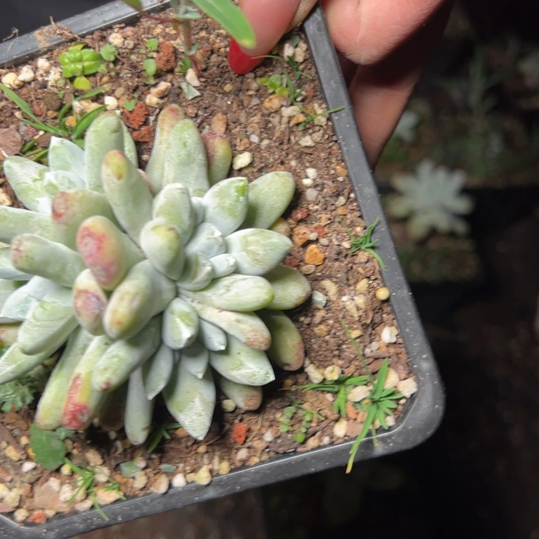 448哈哈哈哈哈哈哈