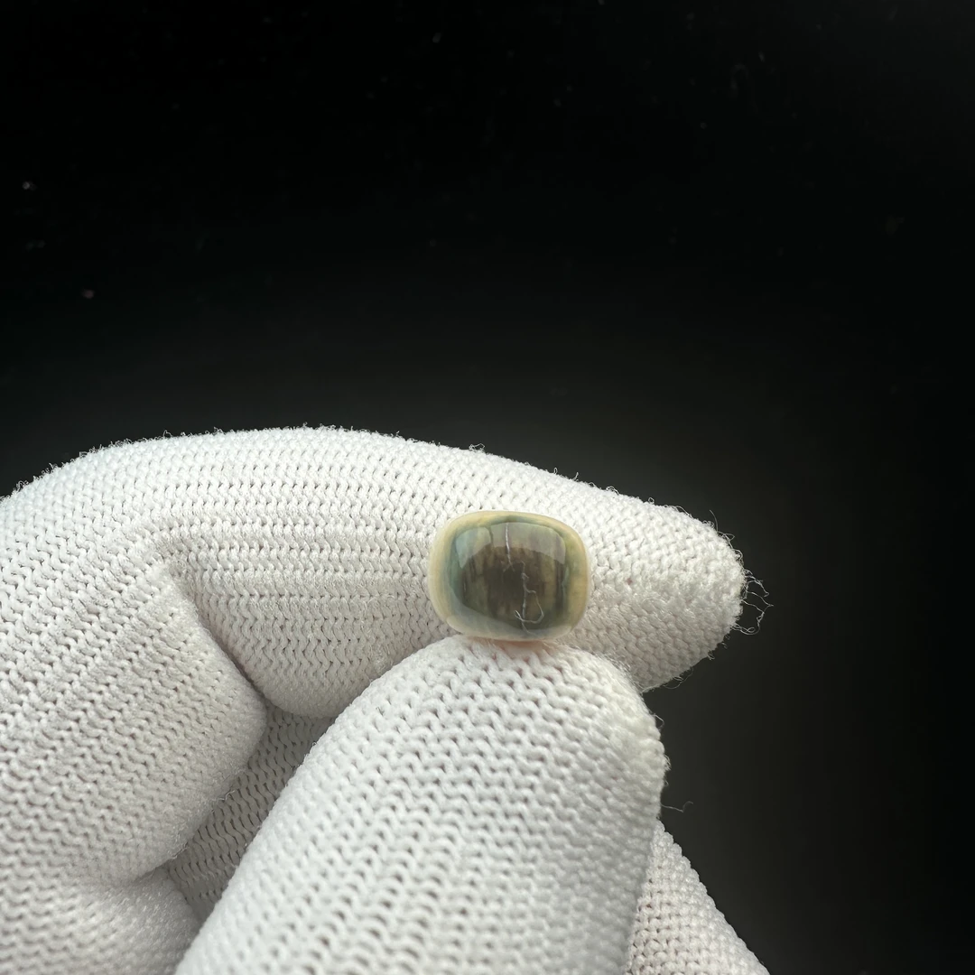 D8765天然猛犸牙 蓝眼睛桶珠10.2*8mm支持鉴定 假一罚四