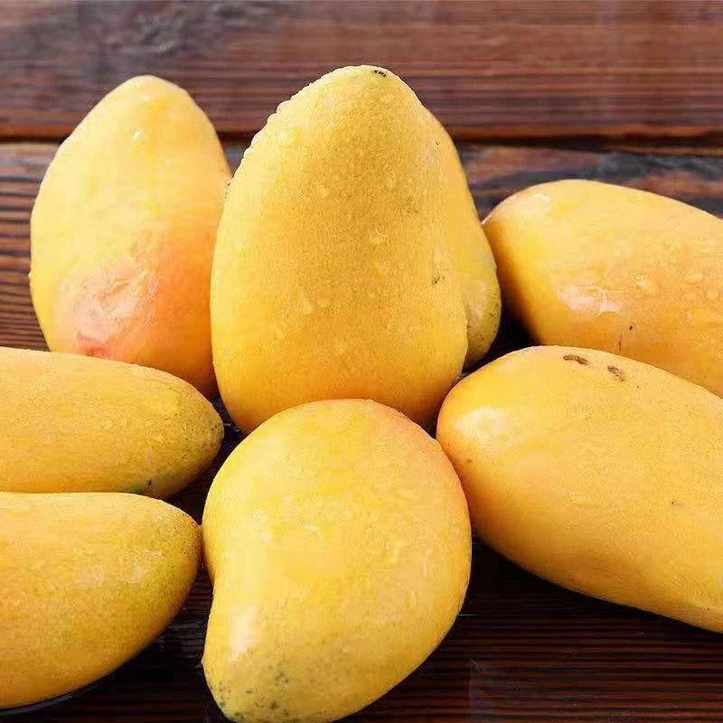 正品海南小台芒台农芒果精选一级大果5斤包邮产地直发