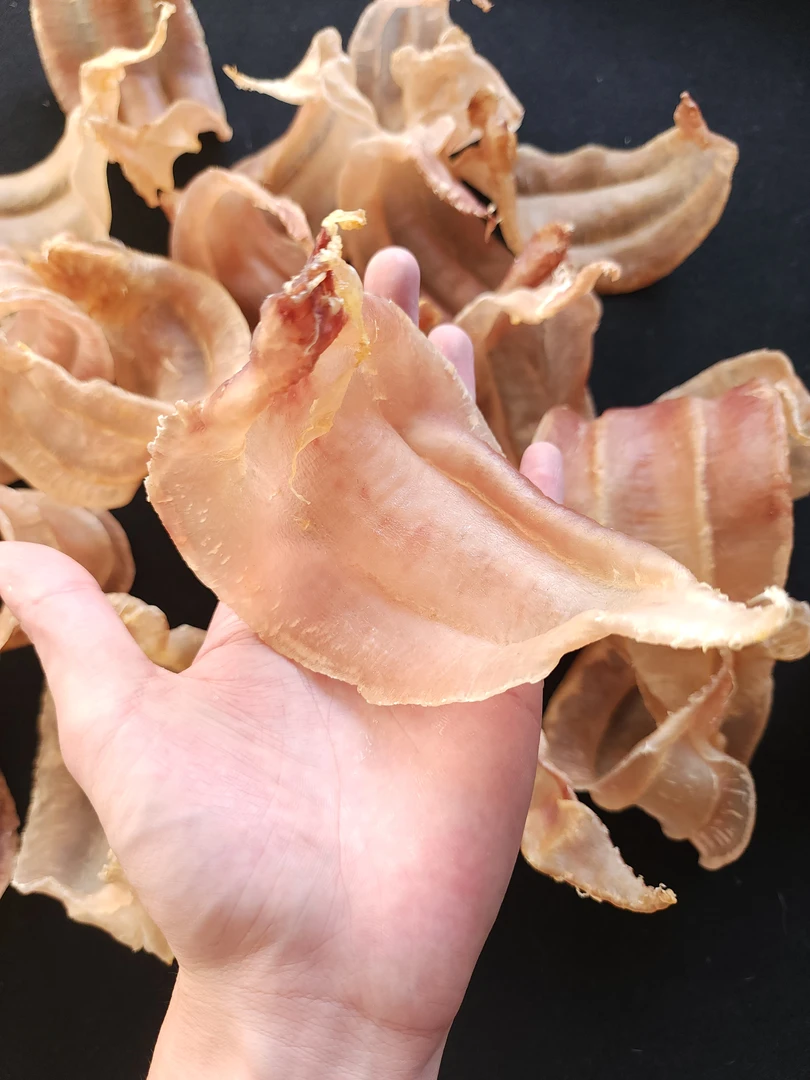 10头精选土鳘赤嘴公鱼胶 厚肉500g