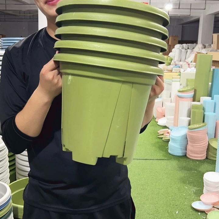 青山口32高28果色5只无托