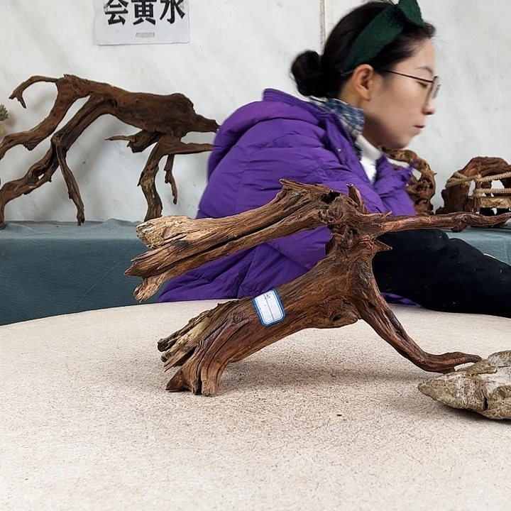 沉木造景爬宠造景